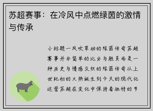 苏超赛事：在冷风中点燃绿茵的激情与传承